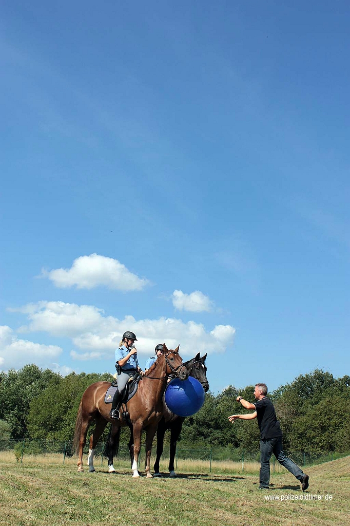 Sommerfest-Polizeioldtimer-Museum_2012 (66).jpg